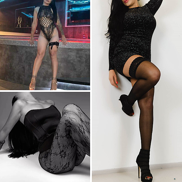 Maxim Legacy Bar ✨ Card Image